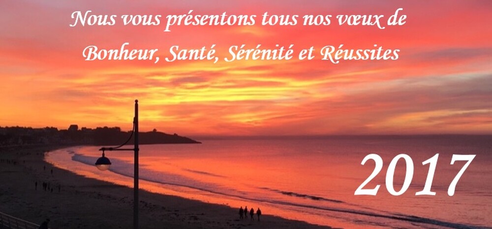 Voeux 2017
